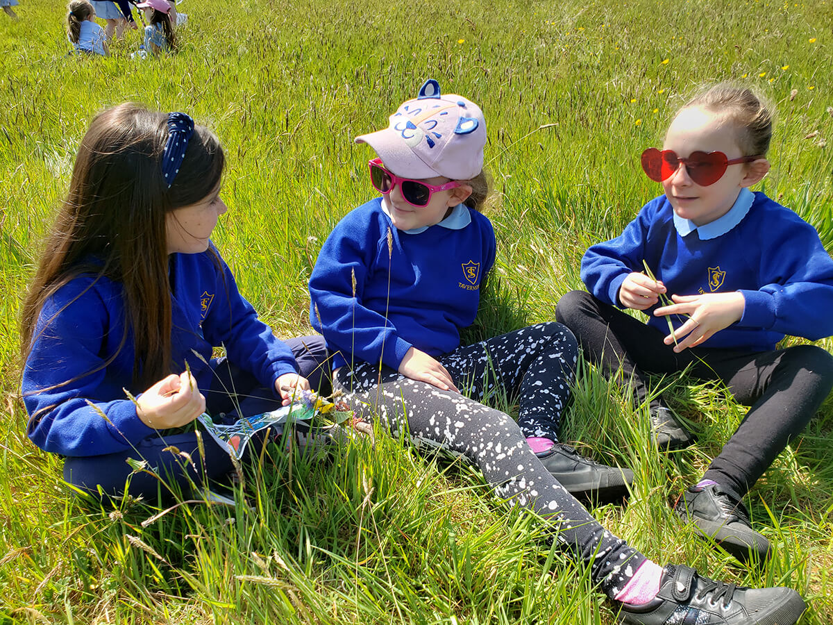 Tavernspite Primary School Whitland