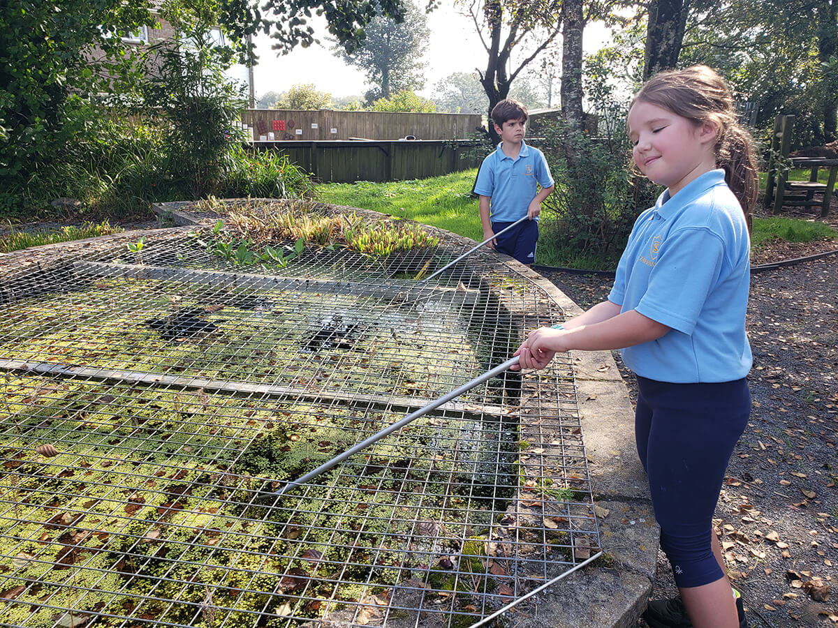 Tavernspite Primary School Whitland
